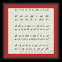 gHAZAL 01 * 22.03.2008 * 521 x 1029 * (68KB)